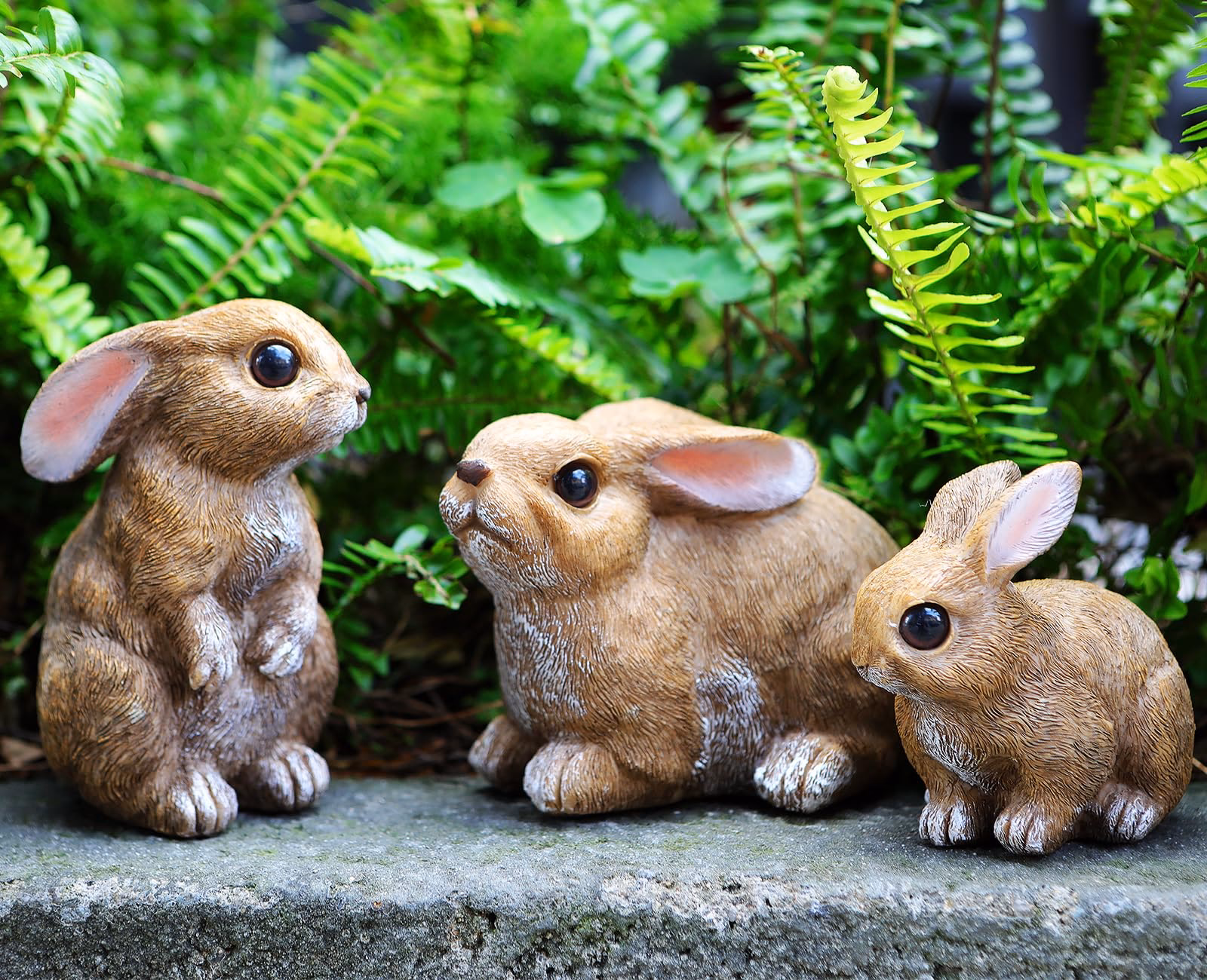 ¿Cómo puedo tener un conejo en mi jardín?