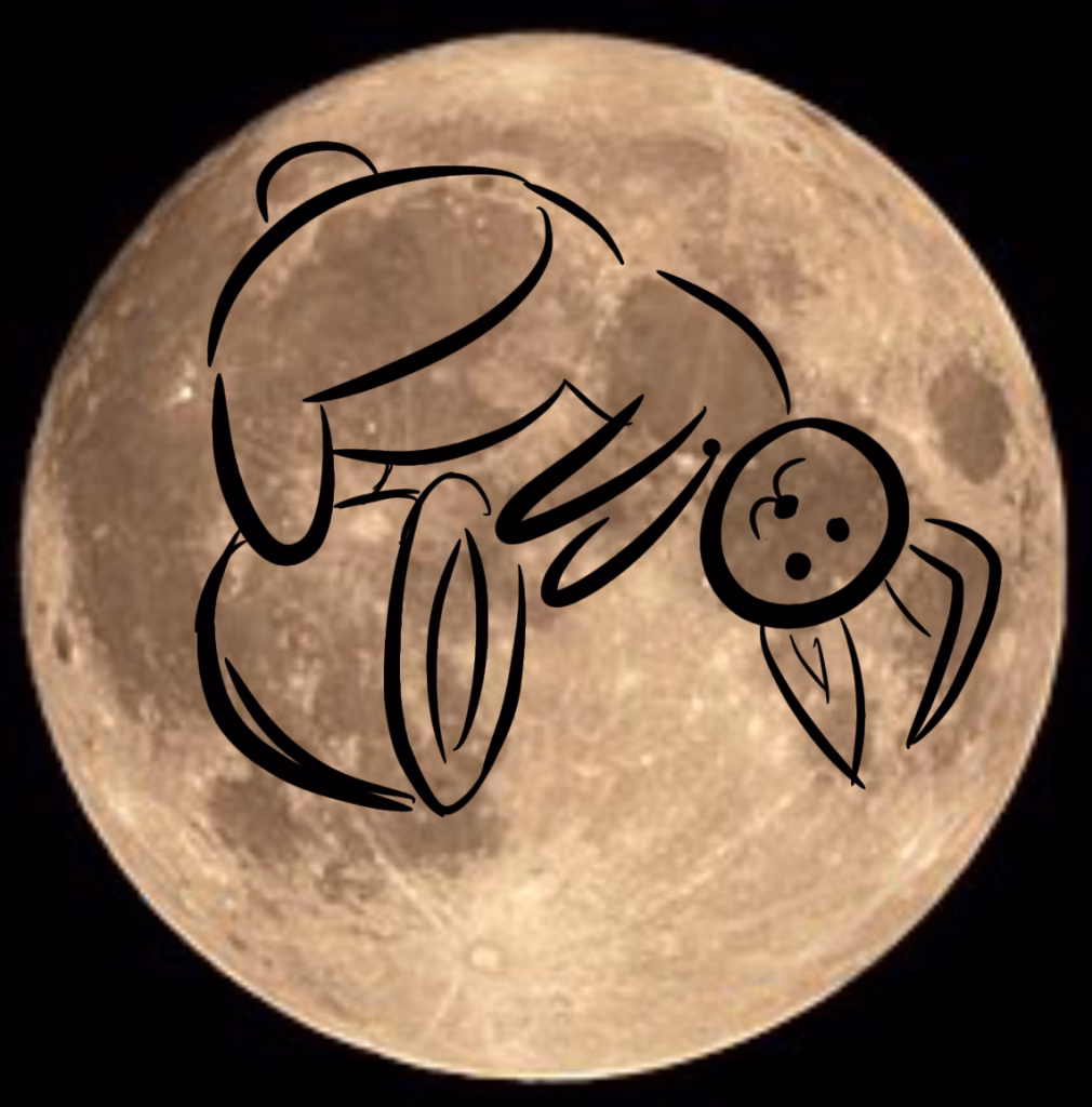 ¿Qué enseñanza transmite el conejo de la luna?