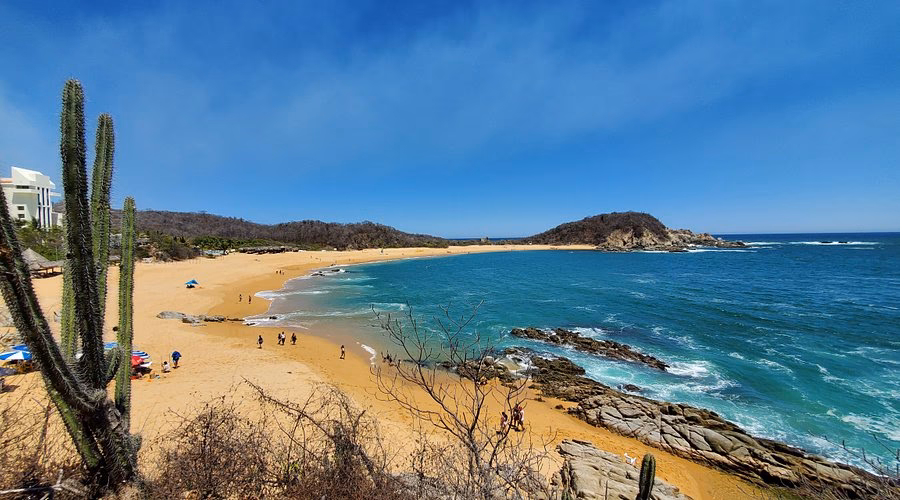 ¿Qué animales habitan en Huatulco?