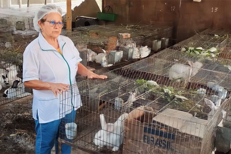 ¿Cómo se le llama a un criadero de conejos?