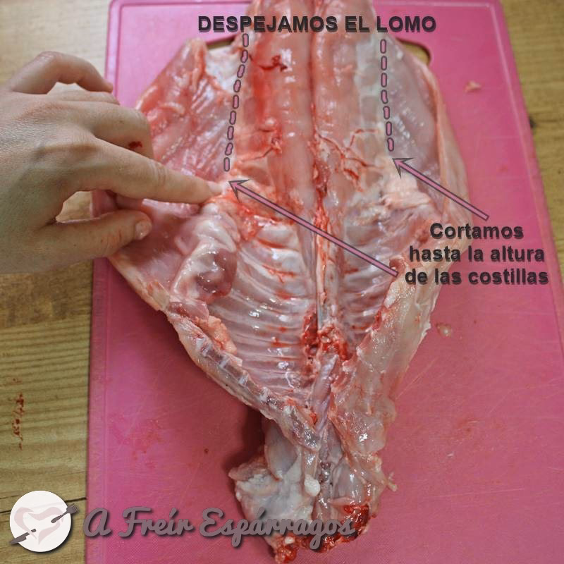 ¿Cuántas costillas tiene un conejo?