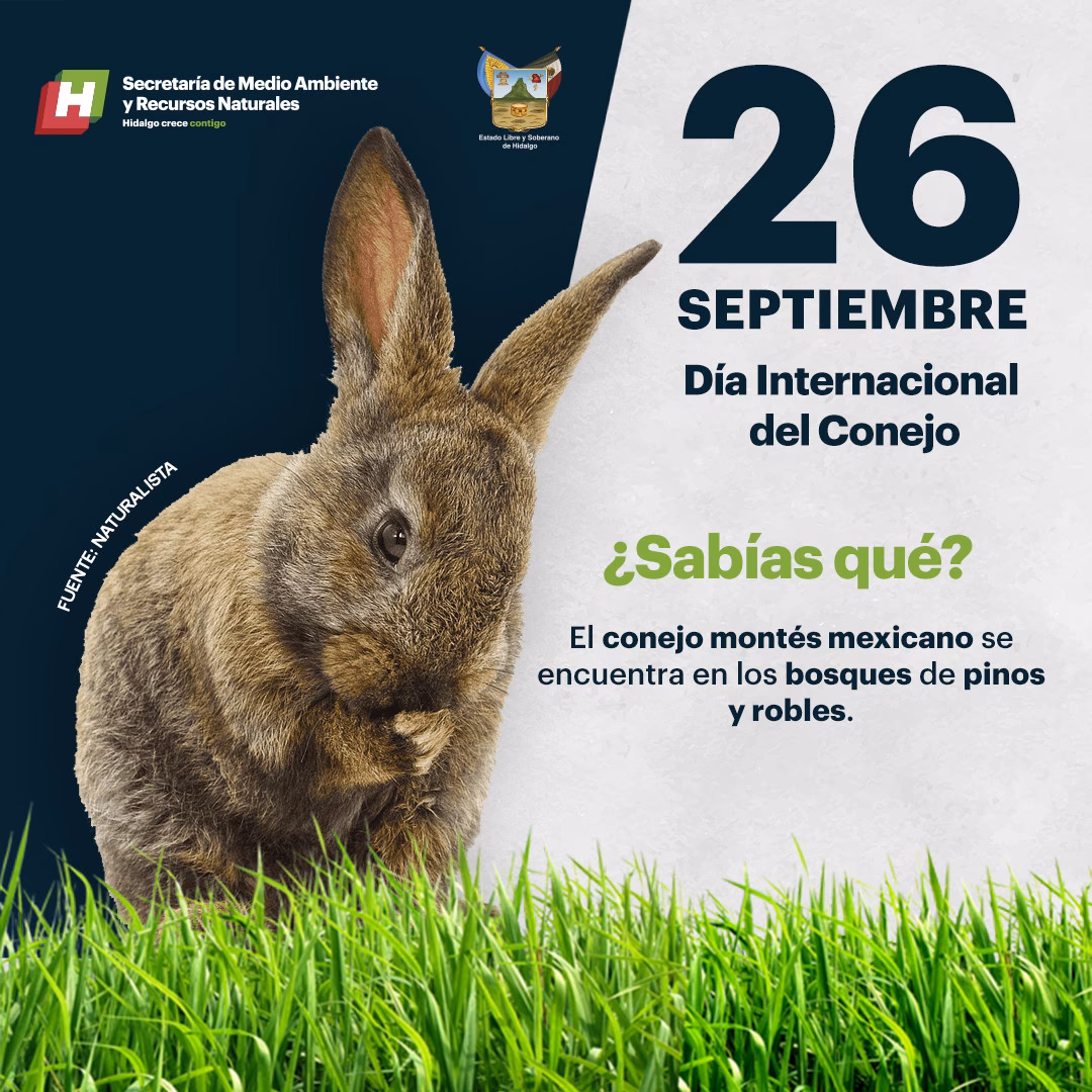 ¿Cuándo es el día Mundial del Conejo?