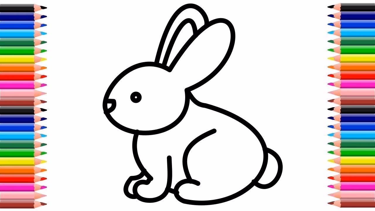 ¿Qué conejo es mejor para niños?