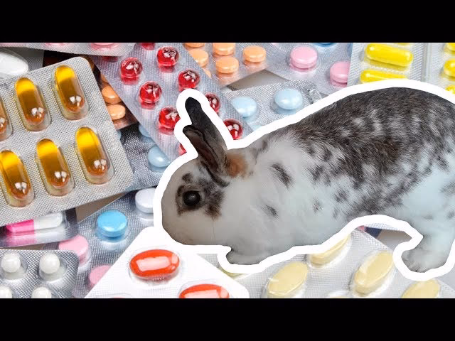 ¿Cuál es la dosis de diclofenaco para animales?