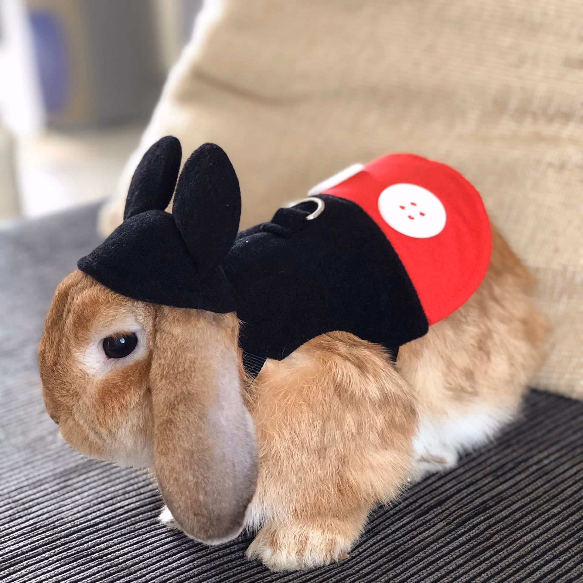 ¿Cuáles son los disfraces más populares para Halloween?