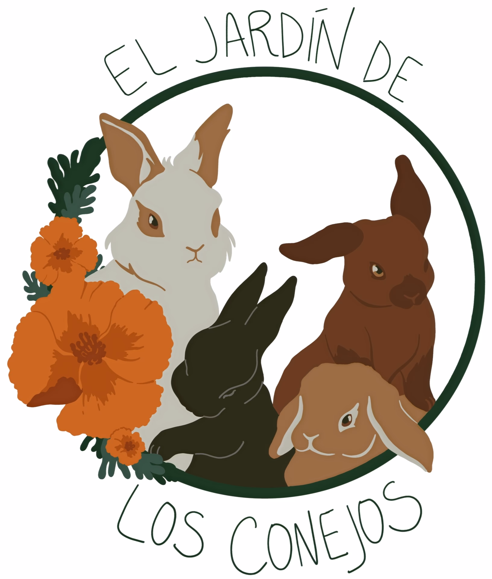 ¿Qué hacer con un conejo que no puedes conservar?