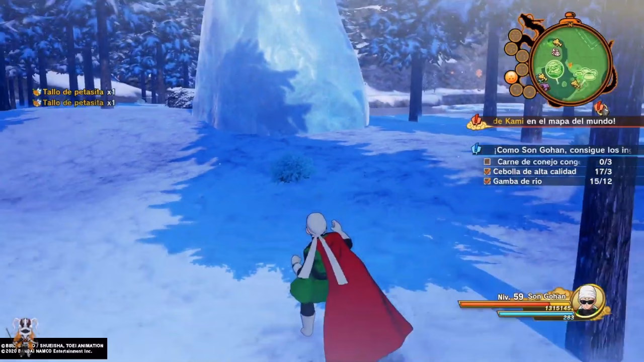 ¿Cuánto tiempo puede estar la carne de conejo congelada?