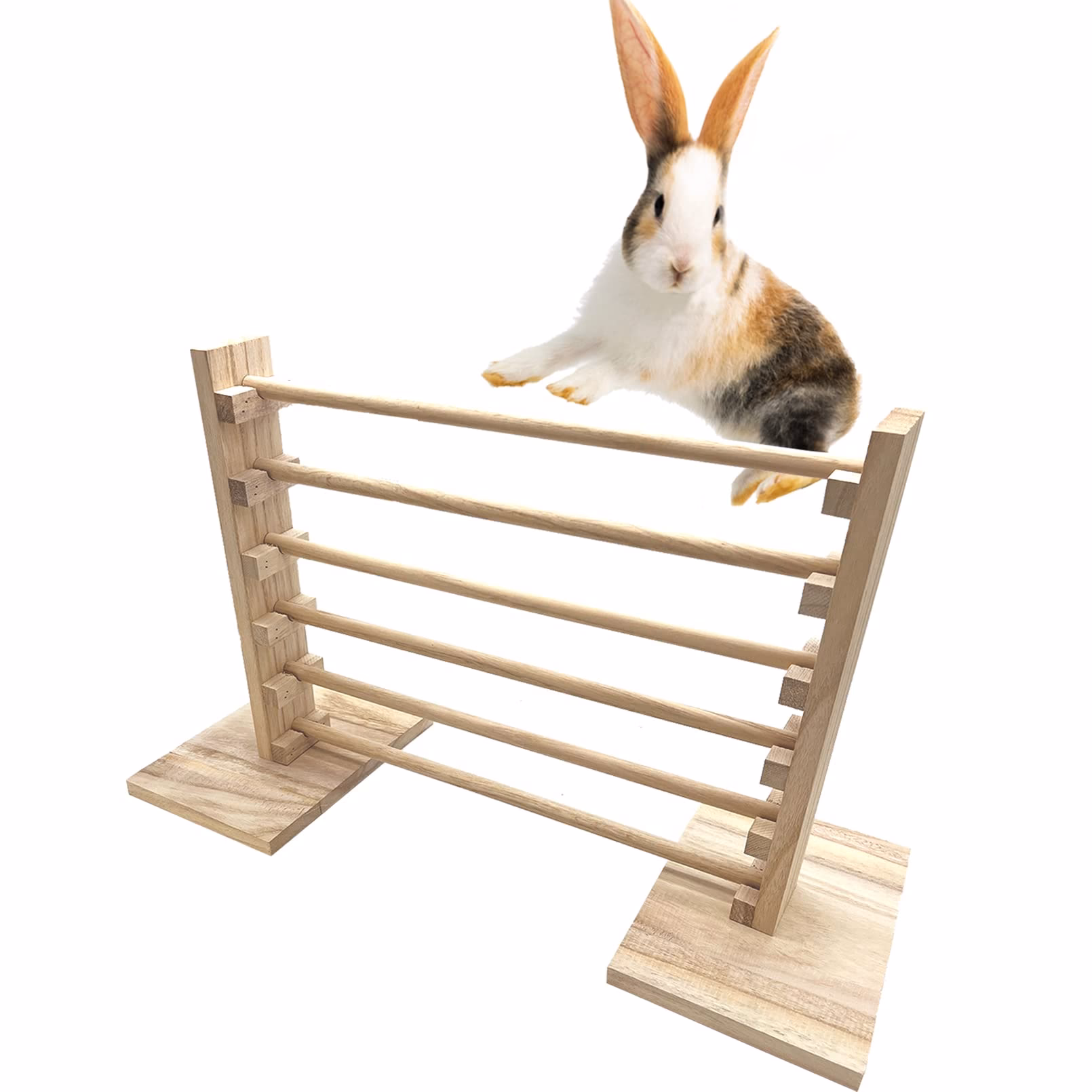 ¿Cuál es el mejor ejercicio para los conejos?
