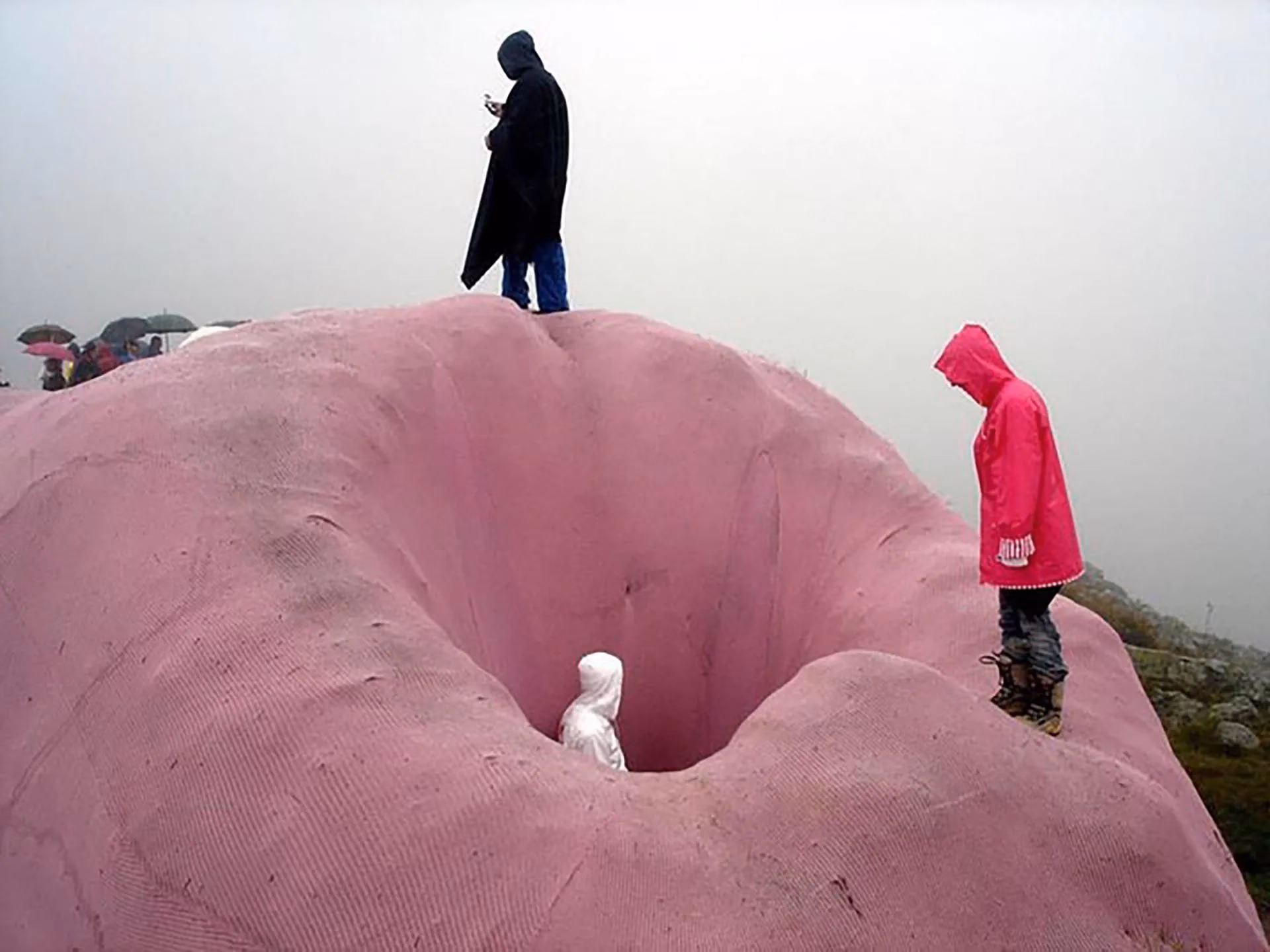 ¿Cuál es la historia del conejo rosa gigante de Italia?