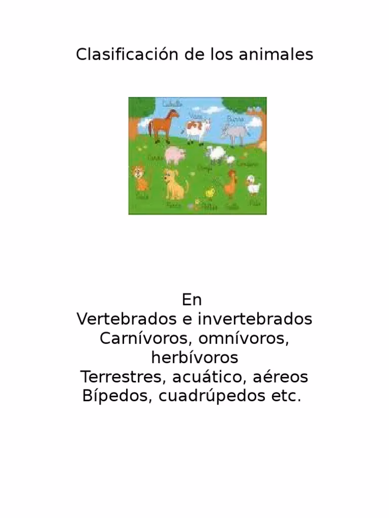 ¿El conejo es cuadrúpedo o bípedo?