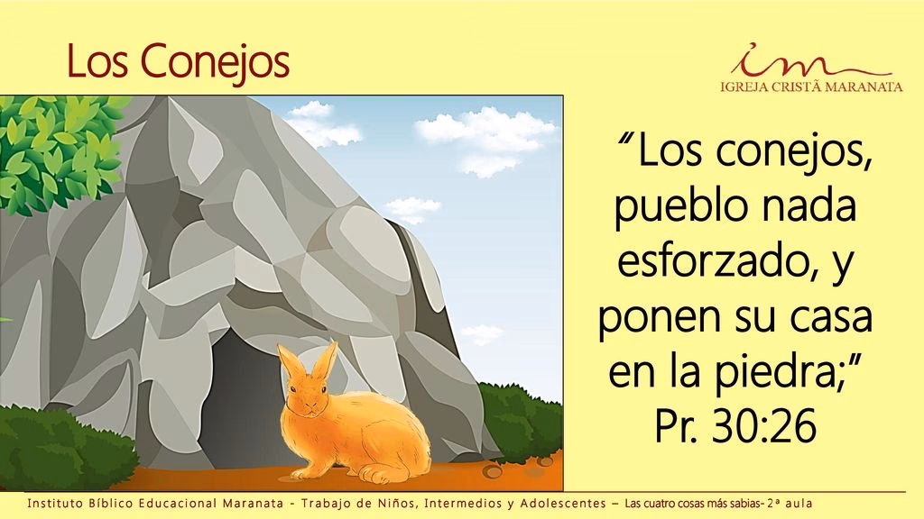 ¿Qué dice la Biblia sobre la casa en la roca?