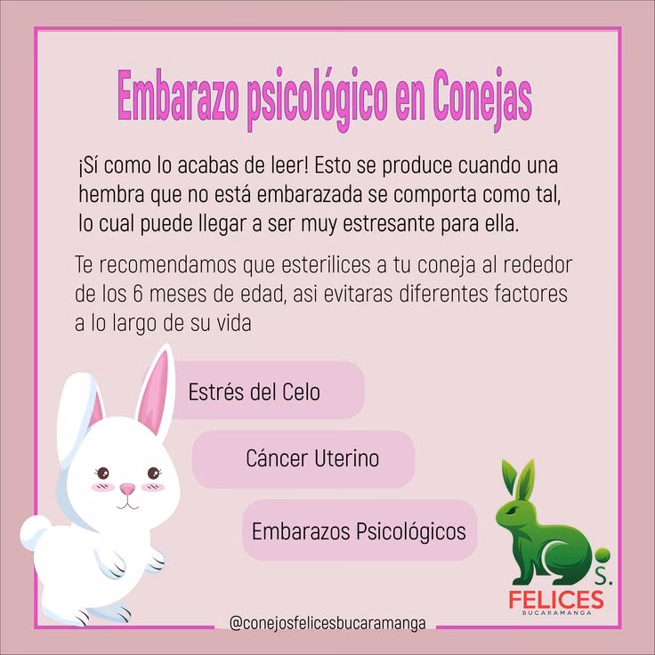 ¿Cómo detectar un embarazo psicológico?