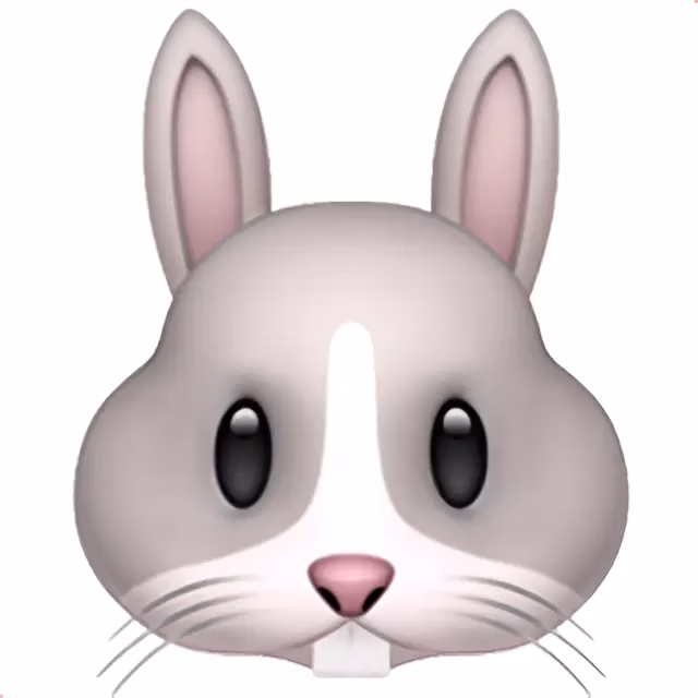 ¿Qué significa 🐇 de un chico?