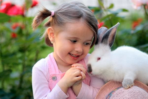 ¿Tiene suerte el conejo en casa?
