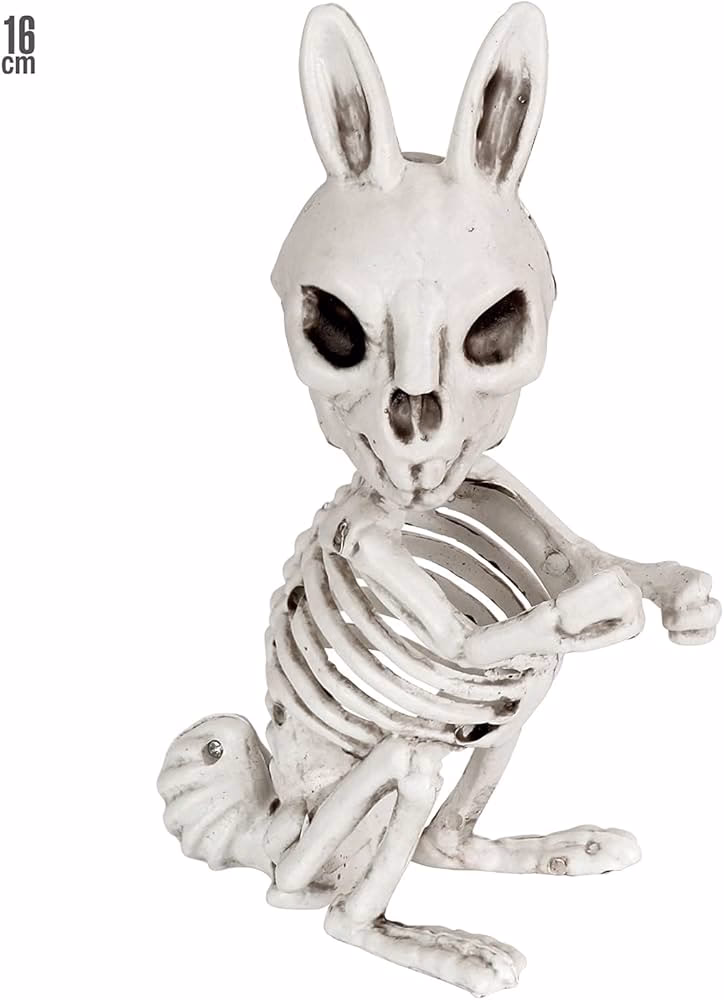 ¿Qué tipo de esqueleto tiene un conejo?