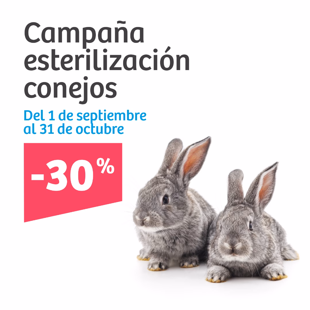 ¿Cuándo hay campaña de esterilización 2025?