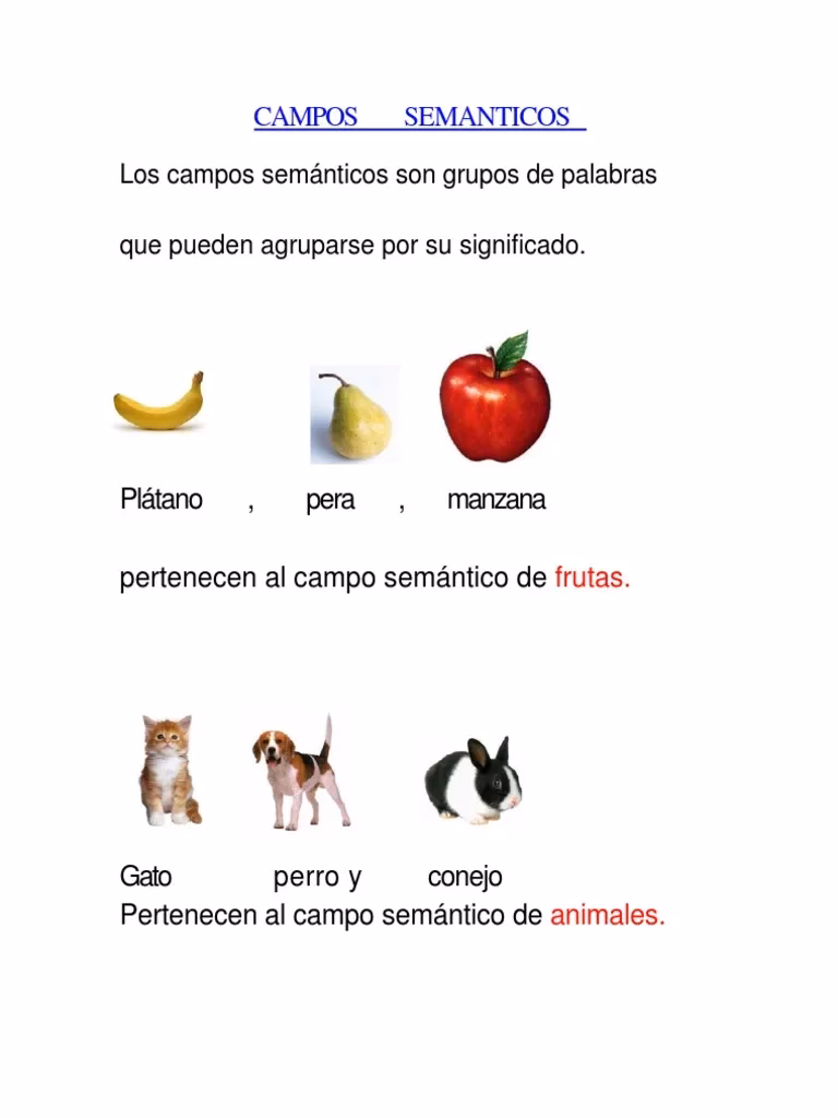 ¿Qué es un ejemplo de familia léxica?