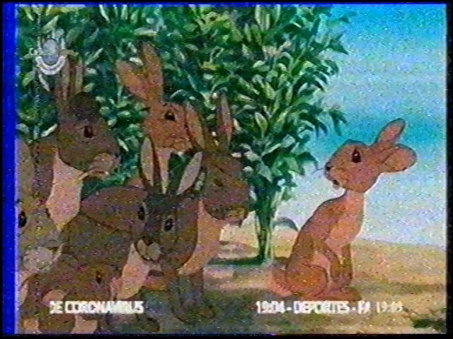 ¿Quién es el rey de los conejos?