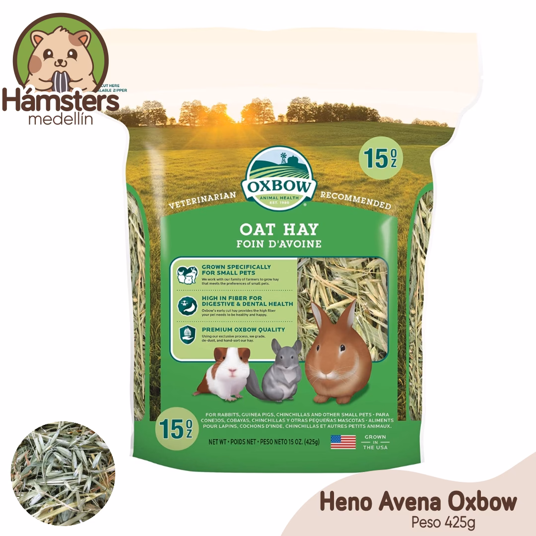 ¿Qué hacer si no tengo heno para conejos?