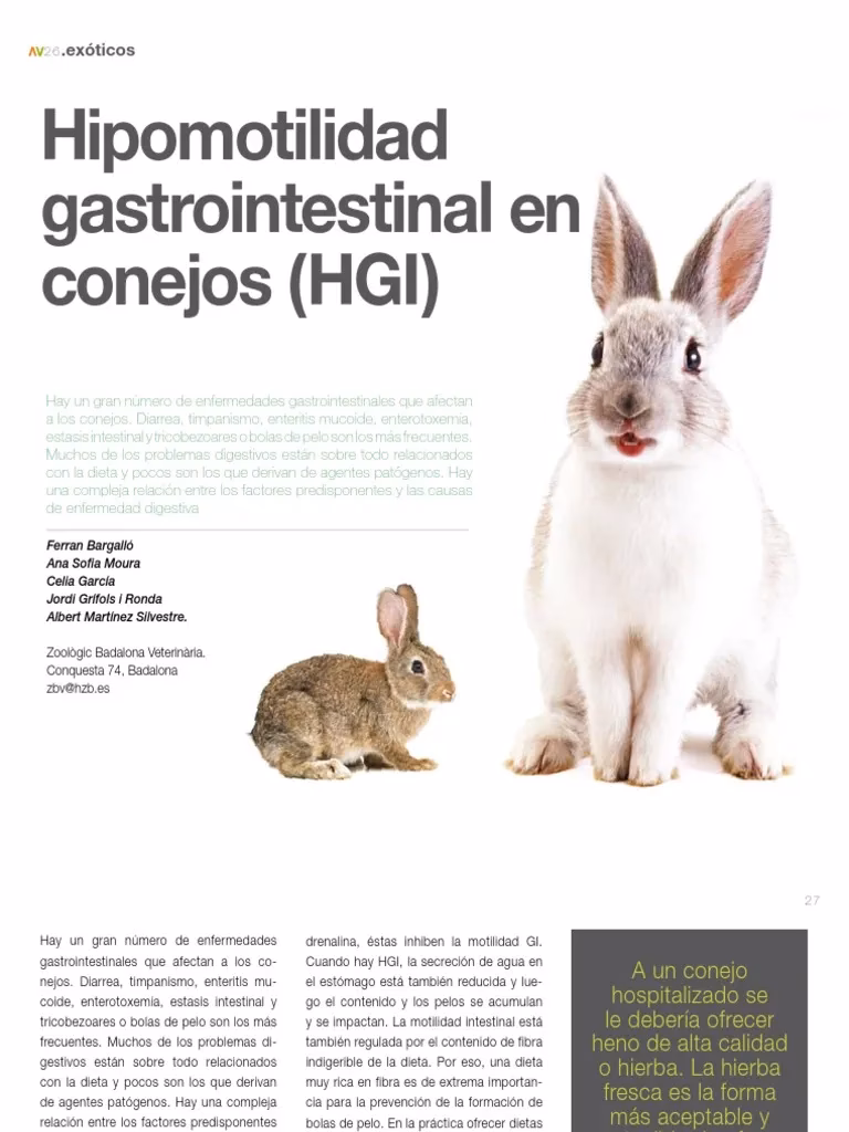 ¿Cuáles son los síntomas del síndrome de hipomotilidad gastrointestinal?