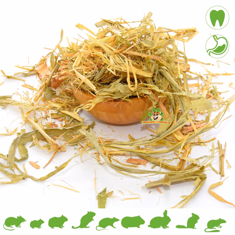 ¿Puede mi conejo comer hojas de maíz?