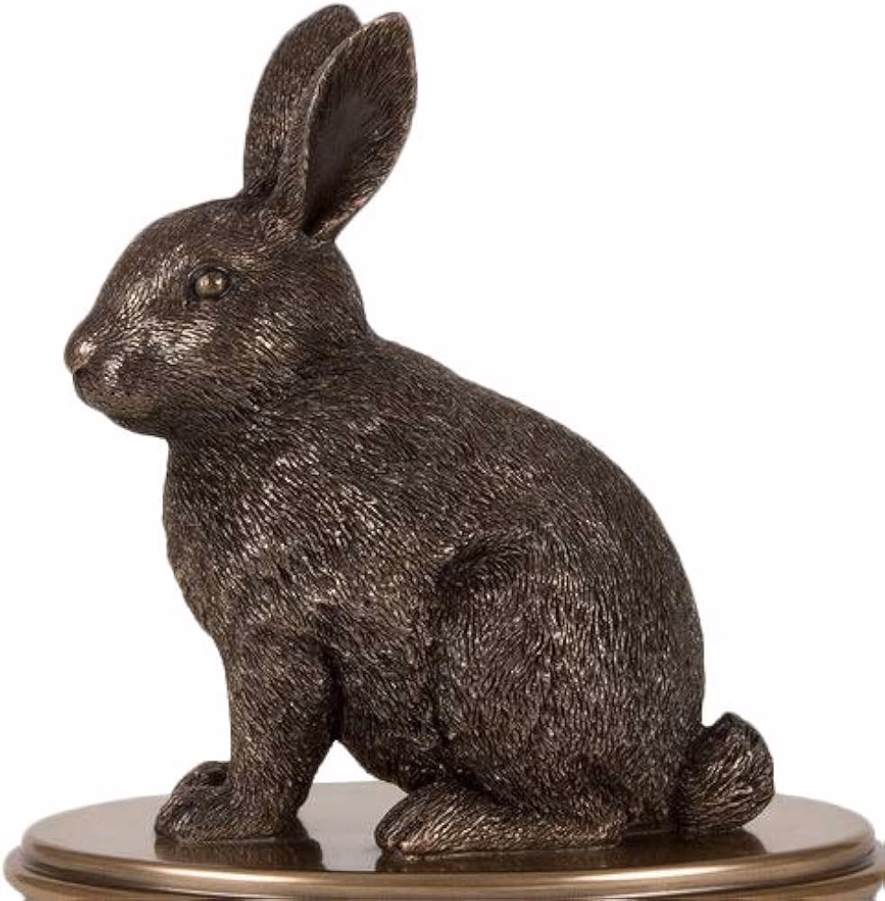 ¿Cuándo se celebra el Día Mundial del Conejo?