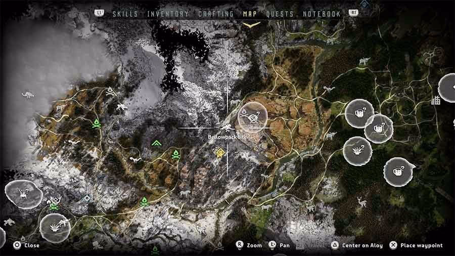 ¿Cómo conseguir hueso de conejo?