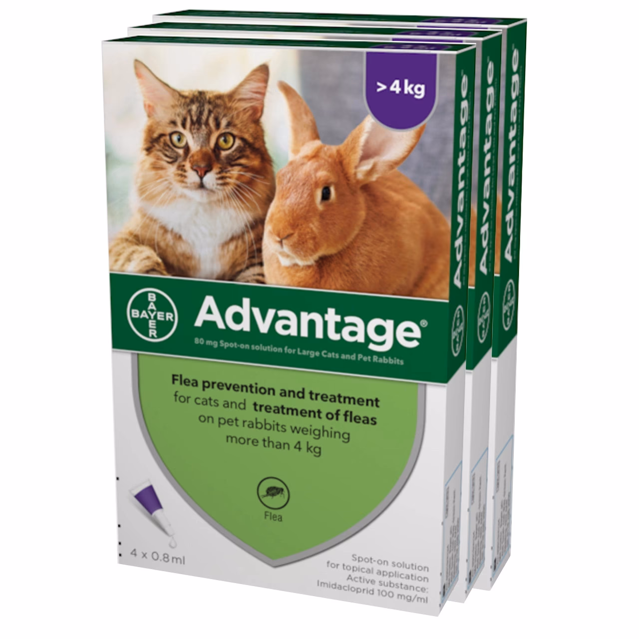 What insects are killed by imidacloprid?