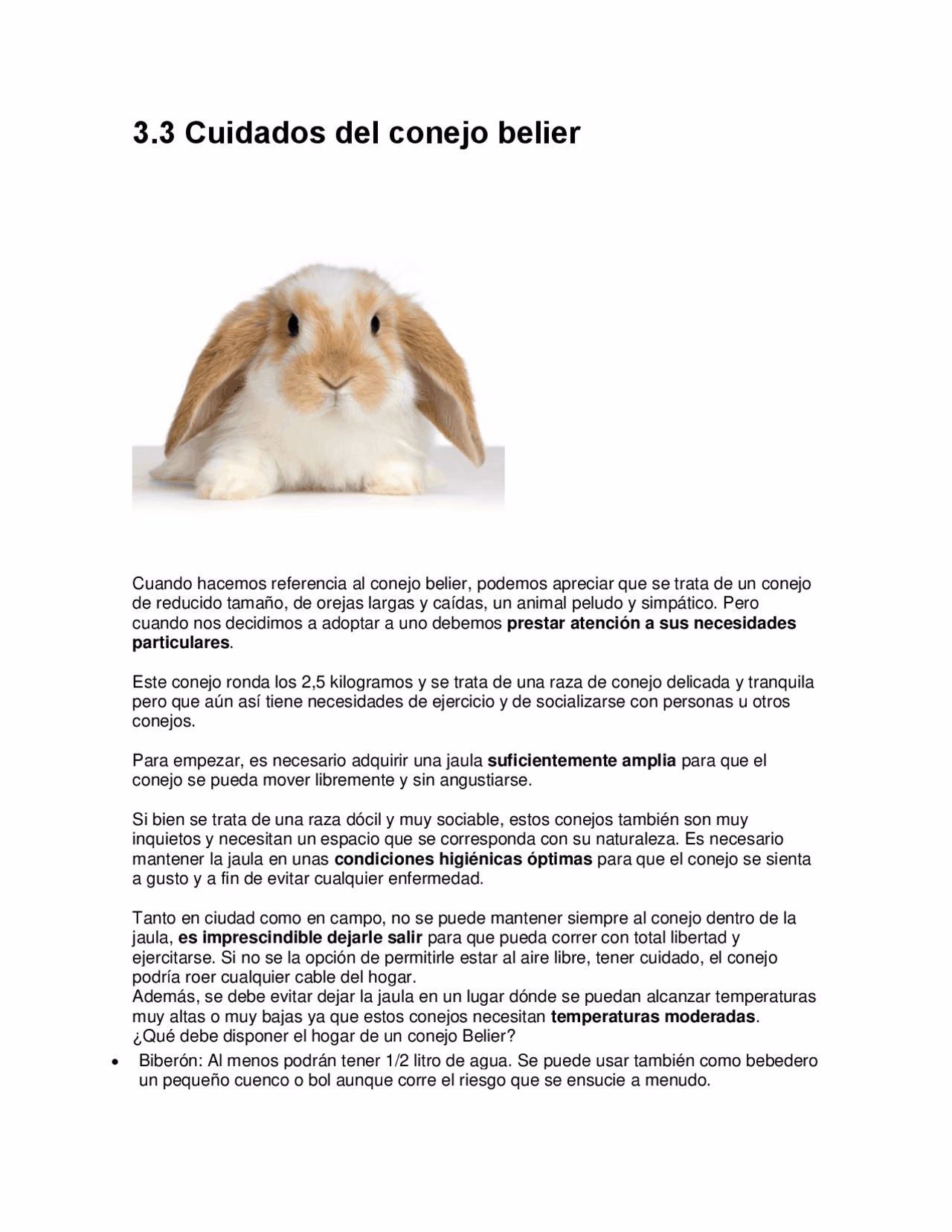 ¿Cuáles son 10 datos interesantes sobre los conejos?