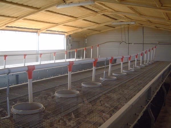 ¿Qué equipamiento se necesita para la cría de conejos?