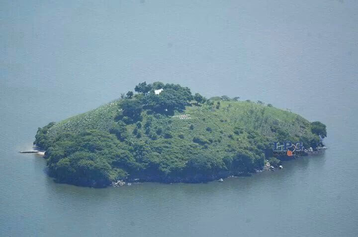 ¿Quién es el dueño de la isla Conejo?