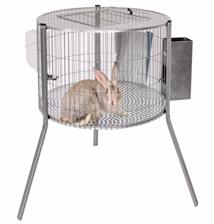 ¿Qué tipo de jaula es la mejor para un conejo?