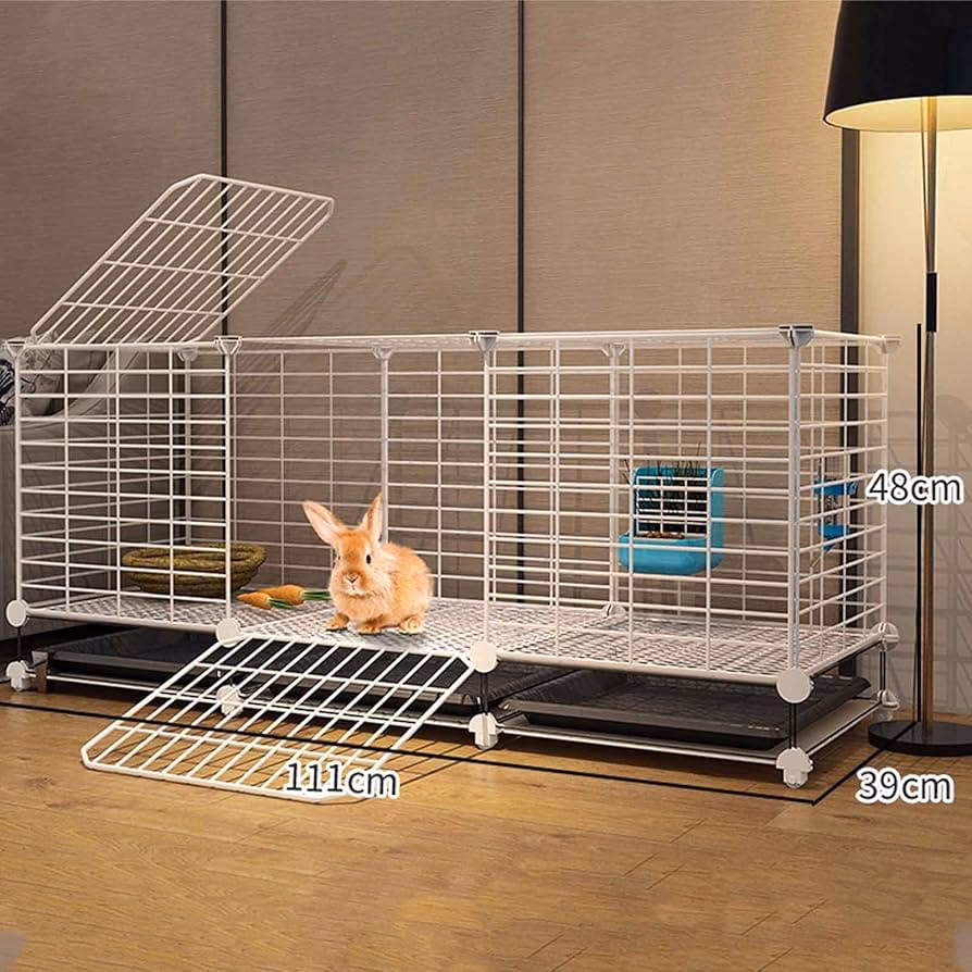 ¿Por qué Petco ya no vende conejos?