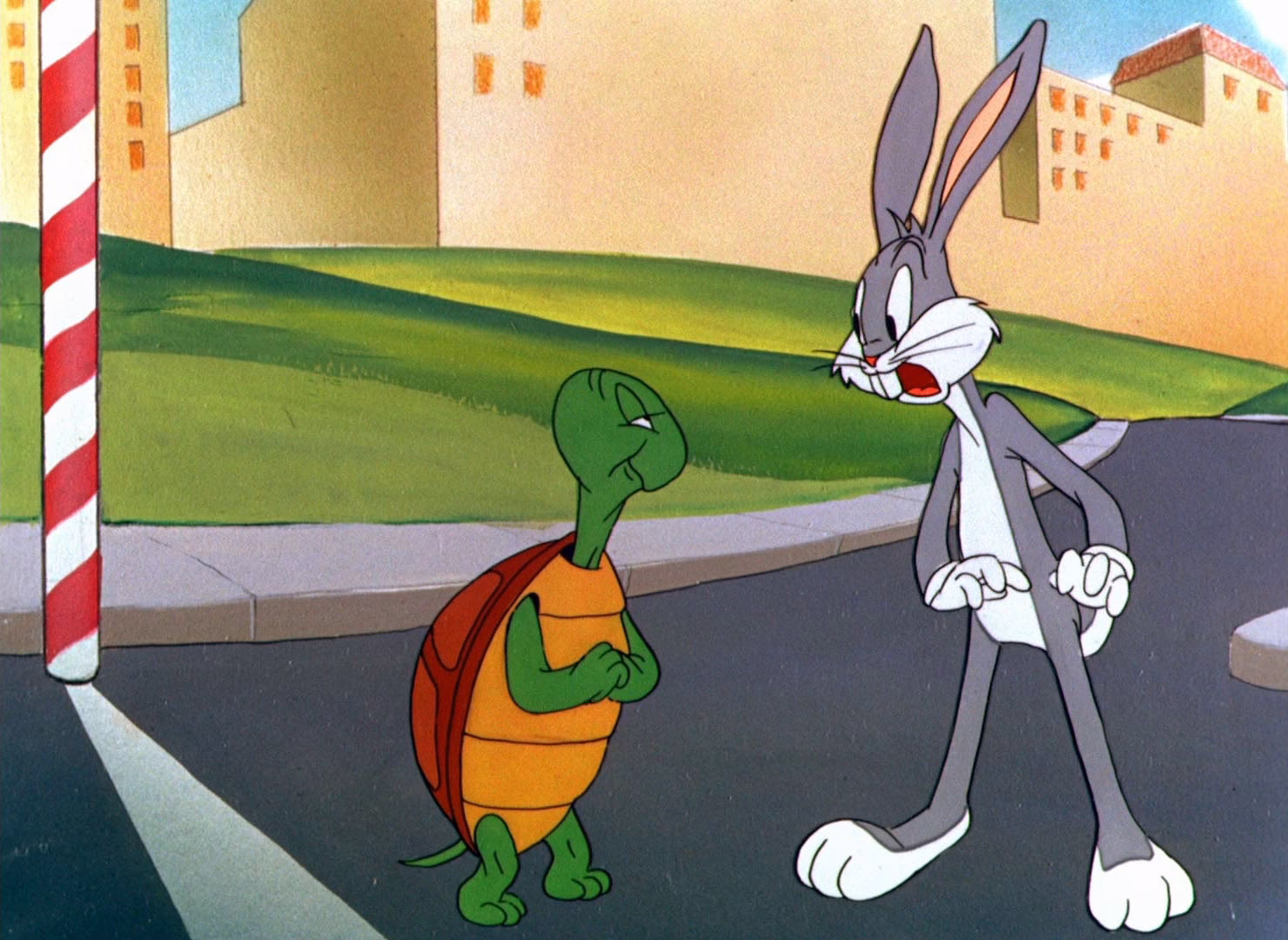 ¿Cómo la tortuga venció al conejo?