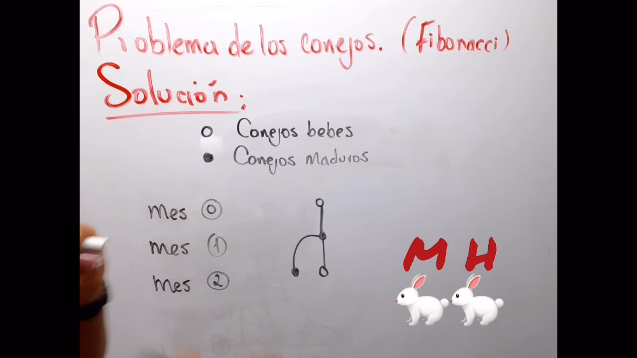 ¿Qué es la secuencia de Fibonacci en los conejos?