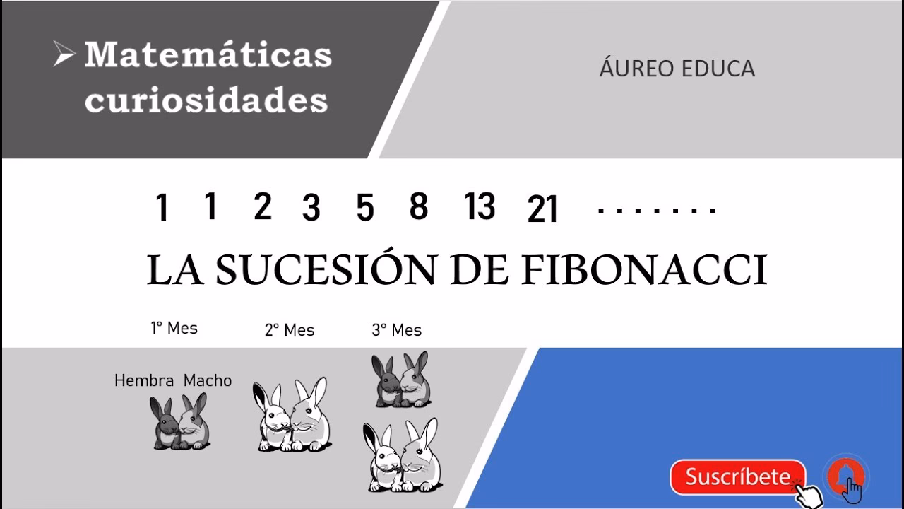 ¿Qué es el resumen de Fibonacci?