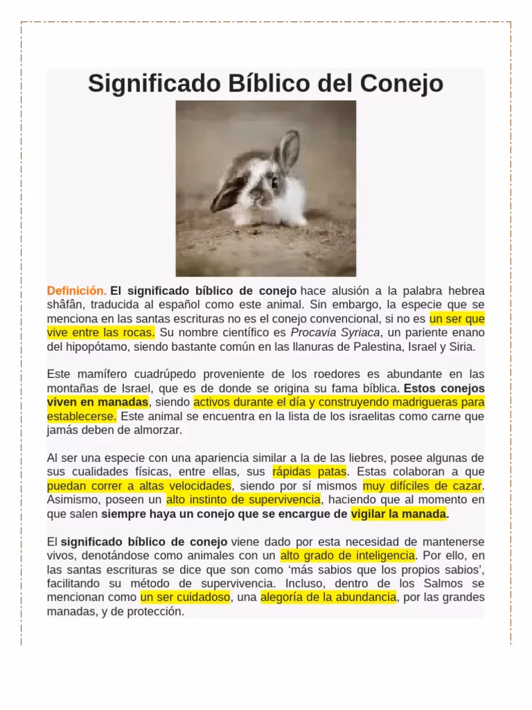 ¿Qué habla la Biblia sobre los conejos?