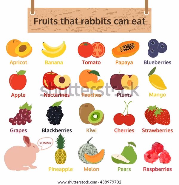 ¿Qué pasa si le doy frutilla a mi conejo?