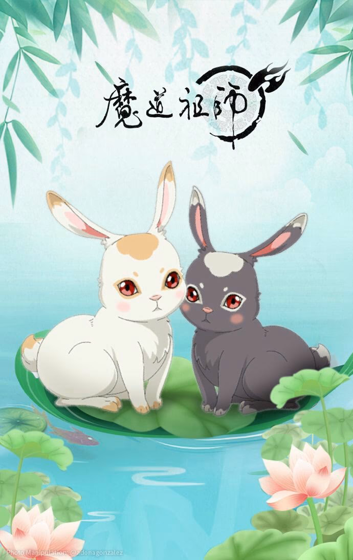 Is the MDZS donghua finished?