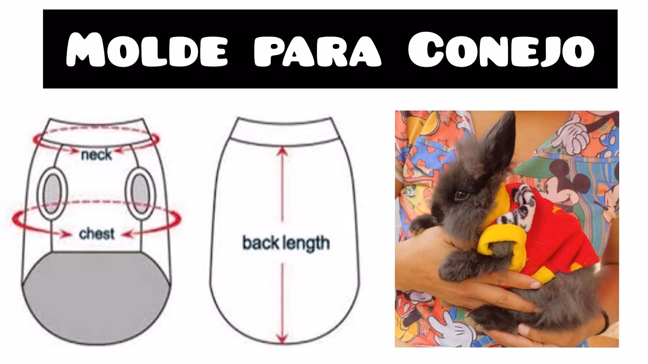 ¿Es necesario vestir a los conejos?