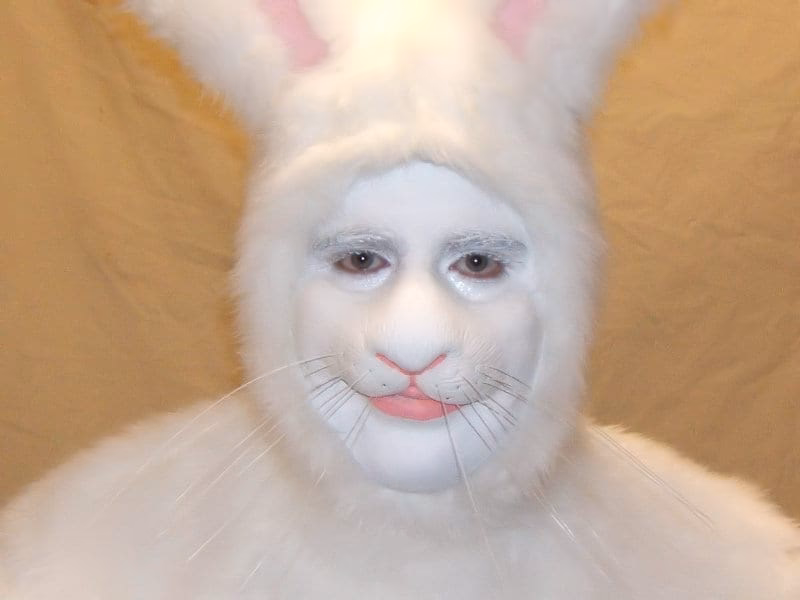 ¿Qué función cumple la nariz del conejo?