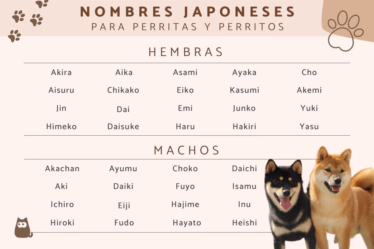 ¿Cómo se llaman los conejos en Japón?