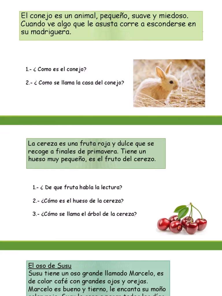 ¿Cuál es una oración para conejo?