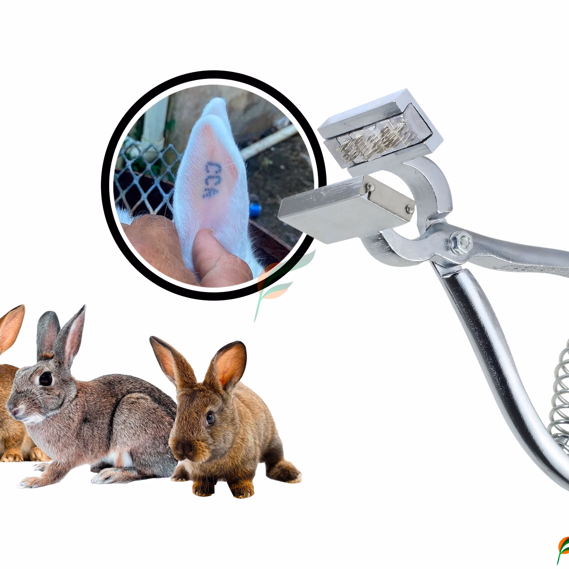 ¿Cómo se fija un tatuaje?