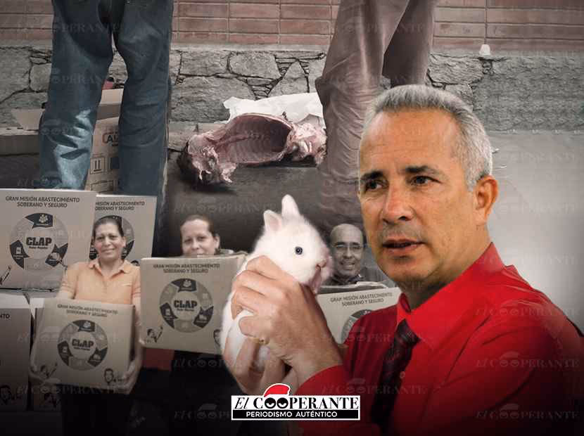 ¿Qué es un proyecto de conejo?