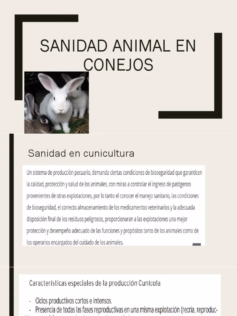 ¿Qué debe tener un plan sanitario?