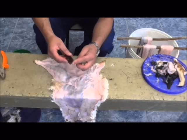 ¿Qué químicos se usan para curtir el cuero?