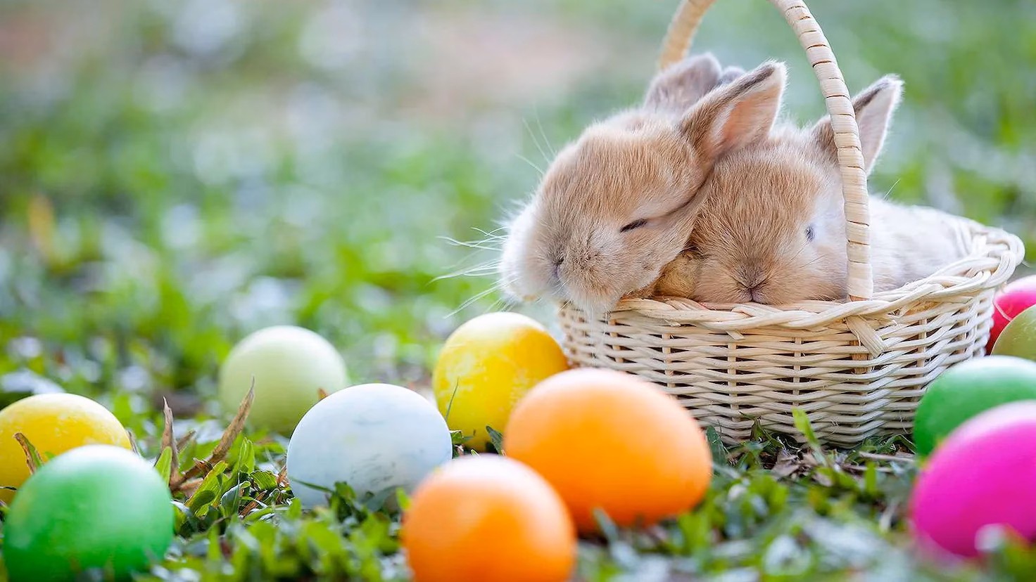 ¿En qué semana se celebra la Pascua en los Estados Unidos?