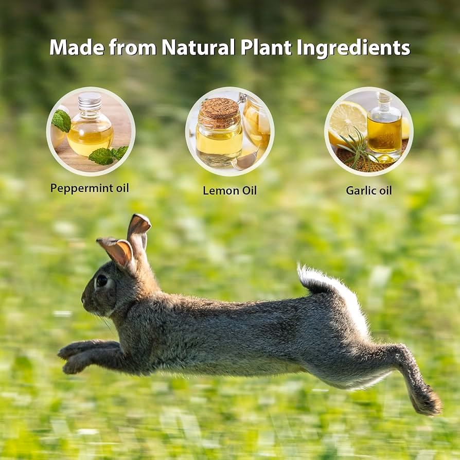 ¿Qué olor mantiene alejados a los conejos?