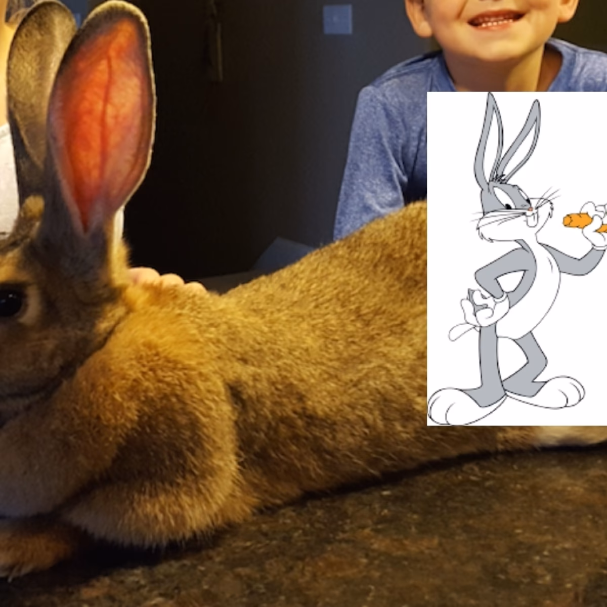 ¿Qué raza es el perro de Bugs Bunny?